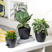 1 x RAW Customer Returns T4U 12.5 14 15 16 17cm plastic flower pot with watering system, set of 5 self-watering planters with saucer, round plant pots for indoor garden succulents cactus, black - RRP €21.24