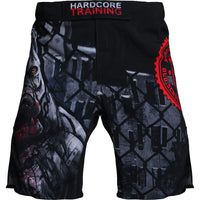 1 x Brand New Hardcore Training Fight Shorts Viking Shorts Men s Fight Shorts Men BJJ Grappling Boxing MMA No Gi Crossfit Workouts - RRP €39.95