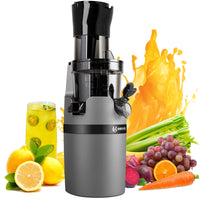 1 x RAW Customer Returns Slow Juicer Juicer, Small Vegetable and Fruit Test Winner Professional Juicer Juicer, Reverse Function, All-round Electric Juicer Gray , EL18 - RRP €139.99