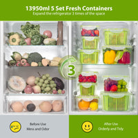 1 x RAW Customer Returns Luxear Set of 5 Refrigerator Containers, Fresh Food Containers with Colander and Lid, BPA-Free Plastic Container for Salad Vegetables Fruit Cheese, Green - RRP €33.99