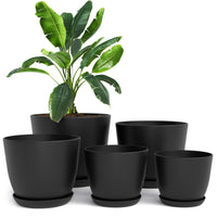 1 x RAW Customer Returns Utopia Home Flowerpot, Pack of 5 Black , 18- 17- 15- 13- 12 cm Decorative Planter for Indoor Plants - Plant Pot with Saucer - RRP €15.59