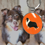 1 x Brand New DISONTAG QR Code Dog Tag ID 41 Dog Breeds Personalized Social Online Page-Free Online Pet Profile-Modifiable-Privacy Control-No APP Required - RRP €16.8