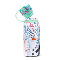 1 x RAW Customer Returns Disney Store Official Frozen 2 The Secret of Arendelle Stainless Steel Water Bottle, 330ml, Printed Bottle with Screw Lid and Carrying Handle - RRP €20.0