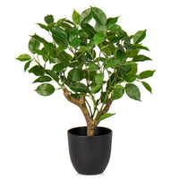 1 x RAW Customer Returns Briful 43 cm artificial plant like real artificial ficus plants in black pot, decorative plant for windowsill, living room, bathroom decoration - RRP €29.23