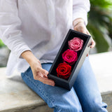 1 x RAW Customer Returns Preserved Mother s Day in a Wooden Box, 3 Red Pink Birthday Flowers for Prime Delivery, Everlasting Flowers, Natural Eternal Roses That Last for Years, Forever Rose, Gift for Mom - RRP €19.99