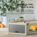 1 x RAW Customer Returns DAB DAB Plus Radio FM Radio with Bluetooth, Portable Digital Radio Retro Bluetooth Radio with rechargeable battery for up to 15 hours of playback, LCD screen, Aux and headphone connections - RRP €49.99