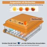 1 x RAW Customer Returns Hethya incubator fully automatic hatchery fully automatic incubator chickens for 24-36 eggs, incubator with automatic egg turning, humidity display and automatic water addition - RRP €84.8