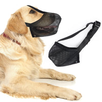 5 x Brand New Mixed pet - RRP €102.0