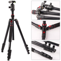 1 x RAW Customer Returns CAMBOFOTO Professional Portable Tripod 169cm Monopod 173cm, 4 Sections with 3 8 Interchangeable 360 Degree Ball Head, Aluminum Tripod with 1 4 Quick Release Plate for Nikon Canon DSLR - RRP €59.99