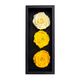 1 x RAW Customer Returns Preserved Roses for Mother s Day in a Wooden Box, 3 Yellow Birthday Flowers for Delivery from Prime, Eternal Flowers, Natural Eternal Roses That Last for Years, Eternal Rose, Gift for Mom - RRP €15.12