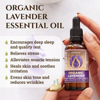 1 x RAW Customer Returns French Lavender Essential Oil, COSMOS Organic Certified, 100 Pure, Best Therapeutic Grade for Aromatherapy, Massage - 50ml, Includes Free E-Book Lavandula Angustifolia  - RRP €29.99