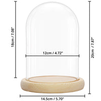 1 x RAW Customer Returns BELLE VOUS glass bell glass dome large with wooden base - 20cm decorative glass cover as table decoration, decorative glass dome transparent glass bell, glass dome cloche with base for lights, decoration- RRP €28.99