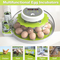 1 x RAW Customer Returns DETODDA fully automatic incubator, incubator for chickens with LED lighting, fully automatic incubator with temperature and humidity control, with automatic egg turner - green 18 eggs - RRP €93.77