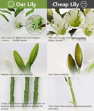 1 x RAW Customer Returns Olrla Pack of 6 White Artificial Lily Flowers, Artificial Plastic Flowers, Artificial Lily Real Touch Home Wedding Party Decoration, Flower Arrangement - RRP €17.72