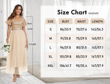 1 x RAW Customer Returns Dressystar Women s Elegant Maxi Dress Sequins Tulle Evening Dress V Neck Ball Gown Long with Sleeves Champagne S - RRP €61.08