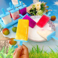 1 x RAW Customer Returns Alinana ice cream molds ice lollies, 9 ice cream molds reusable, DIY ice lolly molds, BPA free ice cream molds for children - comes with a cleaning brush and silicone folding funnel - RRP €9.99