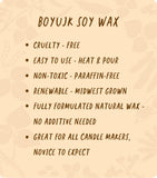 2 x RAW Customer Returns Soy Wax Candle Flakes, BOYUJK Premium Natural Candle Wax, 100 DIY Candle Wax for Candle Making from Organic Farming, No Additives, Harmless and Pure 1KG  - RRP €30.24