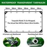 2 x Brand New Gorssen Transparent tarpaulin with eyelets, Transparent tarpaulin with eyelets, Outdoor protective tarpaulin for gardens 420g m , Plants, Waterproof PVC tarpaulin, with rope-2.0 m 3.0 m - RRP €85.98