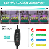 1 x RAW Customer Returns New time-controlled 5 piece mini greenhouse propagation set, with timing controller adjustable brightness, full spectrum, indoor greenhouse propagation box with lid and ventilation, 10 labels, 2 tools - RRP €28.22