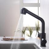 1 x RAW Customer Returns HOMELODY kitchen sink faucet with pull-out shower, kitchen faucet with 2 jet types, dishwashing spray, 304 stainless steel kitchen faucet, high pressure mixer tap 360 rotatable, single lever mixer tap black - RRP €47.99