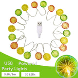 1 x RAW Customer Returns Riaxuebiy Artificial Lemon Slice Garland 3m 20LED 3D Fake Fruits Hanging Mixcolor Lemon Fairy Lights for Wedding Garden Autumn Decoration Mixed Color Lemon-USB  - RRP €16.13