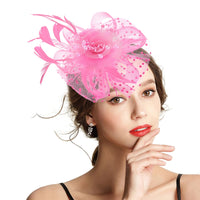 9 x Brand New Takmor Fascinator Women Mesh Hat Feather Clip Hat Party Church Wedding Cocktail Hat for Women Girls Pink One Size - RRP €216.0