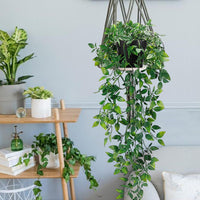 1 x RAW Customer Returns ToKinCen 2 Pack Artificial Hanging Plants Artificial Plants with Pots, Artificial Plant Hanging Hanging Plants Potted Plant Artificial for Home Garden Office Party - RRP €15.12