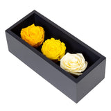 1 x RAW Customer Returns Preserved Roses for Mother s Day in a Wooden Box, 3 Yellow Birthday Flowers for Delivery from Prime, Eternal Flowers, Natural Eternal Roses That Last for Years, Eternal Rose, Gift for Mom - RRP €15.12