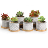 1 x RAW Customer Returns T4U 6cm small flower pot, succulent pots, cement plant pot, succulent pot, mini flower pot with bamboo saucer, small flower pots, planters for cacti, cactus plant, set of 6 - RRP €26.99