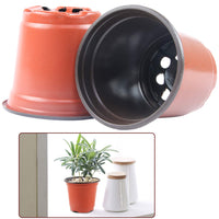 2 x RAW Customer Returns Augshy 150 pieces 10 cm plant pots, cultivation pots, red plastic flower pot for succulent seedlings, cuttings, transplanting - RRP €32.26