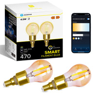 1 x RAW Customer Returns Aigostar Alexa light bulb E14, Smart LED vintage lamp, Smart light bulb G45 amber globe, 4.5W 470LM, warm white dimmable 2700K -6500K, compatible with Alexa and Google Home, 2 pieces. - RRP €20.99