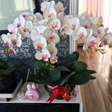 1 x RAW Customer Returns FagusHome 4 pieces artificial Phalaenopsis orchid flowers 105CM artificial orchid flowers stem plants for decoration white pink  - RRP €21.6