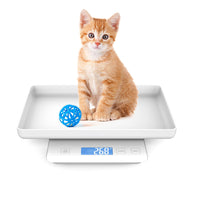 1 x RAW Customer Returns ICARE-PET Puppy Scale for Birth, Pet Scale for Newborn Dogs and Cats, 15 kg with 1 gram accuracy, Removable Bowl White  - RRP €24.0