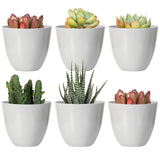 29 x Brand New Youngever 10 Pack 8 cm Mini Plastic Planters, Indoor Flower Pots, Gray Garden Pot with Drainage - NO Plant Included Modern  - RRP €591.6