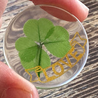 1 x Brand New KIN-HEBI Real Four Leaf Clover Good Luck Pocket Token, preserved, 3.2 cm, including cutout lucky word Love  - RRP €20.4