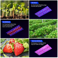 1 x RAW Customer Returns DragonLight 2024 Newest BW1000 Plant Lamp LED Full Spectrum with UV IR, Double Chips LED Grow Lamp with 3 Meter Cable for Greenhouse and Indoor Plants Vegetables and Flower Cultivation Black  - RRP €60.04