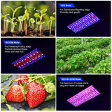 1 x RAW Customer Returns DragonLight 2024 Newest BW1000 Plant Lamp LED Full Spectrum with UV IR, Double Chips LED Grow Lamp with 3 Meter Cable for Greenhouse and Indoor Plants Vegetables and Flower Cultivation Black  - RRP €57.72