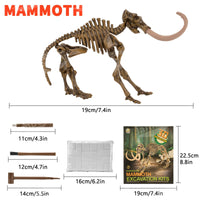 1 x Brand New JamBer Mammuthus primigenius Dinosaur Toy Skeleton Model Jurassic World Archaeological Excavation Dinosaur Kit Children Birthday Party Decoration - RRP €19.2