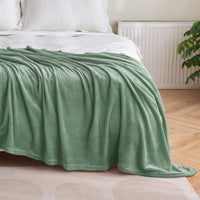 1 x RAW Customer Returns MIULEE Cuddly Blanket Fluffy Blanket Fleece Blanket Living Blankets Couch Blanket Fluffy Throw Microfiber Bedspread Sofa Blanket Blanket For Bed Sofa Bedroom Office 150x200 cm Matcha Green - RRP €22.99