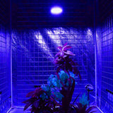 1 x RAW Customer Returns 460nm Full Blue Plant Lamp for Seedlings, 440nm Plants Grow Lamp Promote Photosynthesis, Full Blue Led Grow Lights Grow Light Bulb Plant Lamps - RRP €29.99