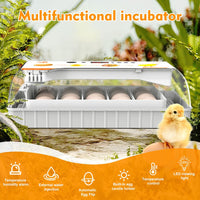 1 x RAW Customer Returns Incubator Chickens Fully Automatic, Hatching Machine 20 Eggs Incubator with Display, Temperature Control Egg Incubation Hatcher for Chicken Goose, Duck, Pigeon, Quail, Bird 20 Eggs  - RRP €96.12