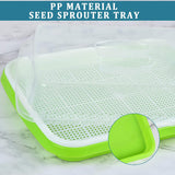 1 x RAW Customer Returns KAHEIGN 6Pcs Sprouting Trays, Seed Sprouter Tray 32cm x 26cm Sprouting Tray with Lid for Large Seeds Germination Tray Germination Box for Growing Mung Beans Alfalfa Wheatgrass - RRP €27.13