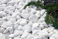 1 x RAW Customer Returns VELLES Small stones for painting garden pebbles White gravel decorative stones Natural stone marble gravel Decorative gravel Pebbles for garden decoration Stone aquarium decorative gravel Decorative stones 20-40 mm - RRP €13.85