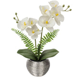 1 x RAW Customer Returns Briful artificial flowers orchids artificial plants Phalaenopsis artificial flowers like real ones in a pot decorative flowers for living room bathroom office decoration - RRP €20.16