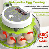 1 x RAW Customer Returns DETODDA fully automatic incubator, incubator for chickens with LED lighting, fully automatic incubator with temperature and humidity control, automatic egg turner green 18 eggs  - RRP €98.81