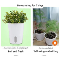 1 x RAW Customer Returns GDWD Set of 10 self-watering flower pots, self-watering pots with water level indicators, watering pots, herb pots, irrigation systems for indoor and outdoor use 12.5 cm  - RRP €44.89