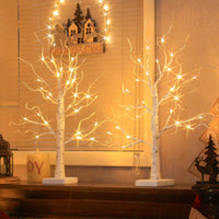 1 x RAW Customer Returns EAMBRITE Set of 2 Light Tree Light Branches for Indoor Use 24 Warm White LEDs Tree Birch Decorative Branches Battery Operated Christmas Decoration for Home Party Birthday Wedding Interior Decoration 60cm 2ft  - RRP €24.99