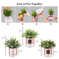 2 x RAW Customer Returns Kesote Artificial Succulents with Pot 3 PCS Rose Gold Artificial Plants in Pot Plants Cactus Small Decoration for Office Home Random Sticker  - RRP €48.38