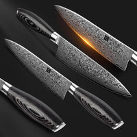 1 x RAW Customer Returns XINZUO Damascus 20.1cm chef s knife, 67 layers of Damascus steel chef s knife, professional meat knife, chef s knife, sharp blade kitchen knife - ergonomic Pakka wood handle - with walnut wood magnetic sheath - RRP €96.79