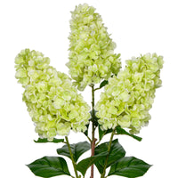 1 x RAW Customer Returns Briful Set of 3 Artificial Hydrangeas Artificial Flowers Like Real Spring Flowers Panicle Hydrangea, 73CM Green Decorative Flowers Artificial Branches for Flower Arrangement Home Resto Spring Decor - RRP €22.19